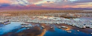 Chile in Depth - Atacama Desert