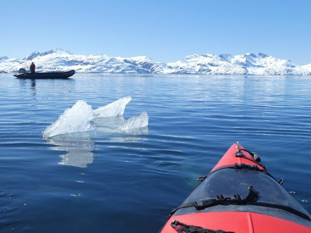 Kayaking in Antarctica Peninsula by Sue Inglis