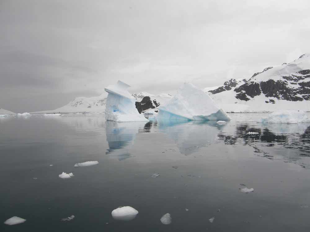 Iceberg reflections Antarctica by Diane Matthews