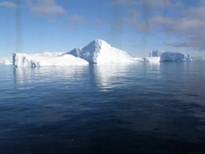Icebergs Antarctica by Diane Matthews