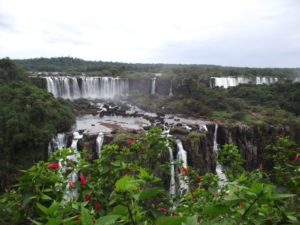 Iguazu Falls with Flowers by Alison Duncan