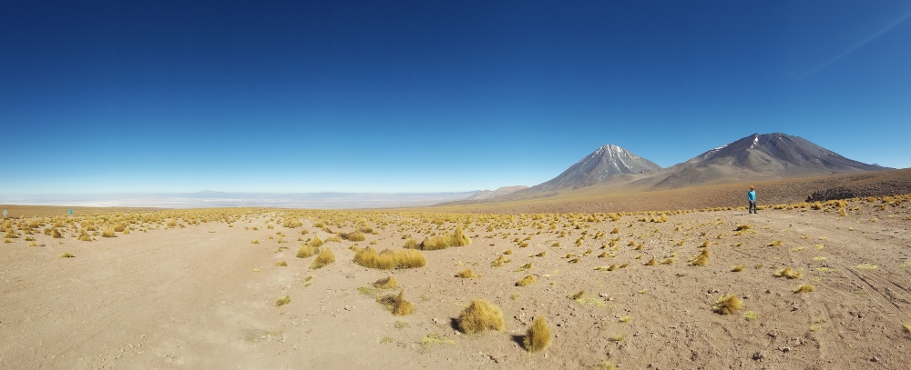 Tara Salt Flats, Atacama by Mary Shiel