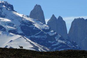 Torres Del Paine by Mary Shiel