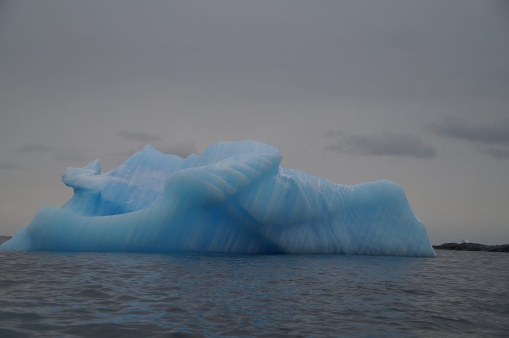 Blue Iceberg by David Kaufmann