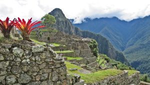 Machu Picchu by Donna Clayton-Smith