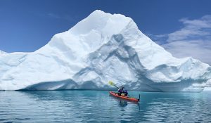 Antarctica - Kayaking - Cinzia