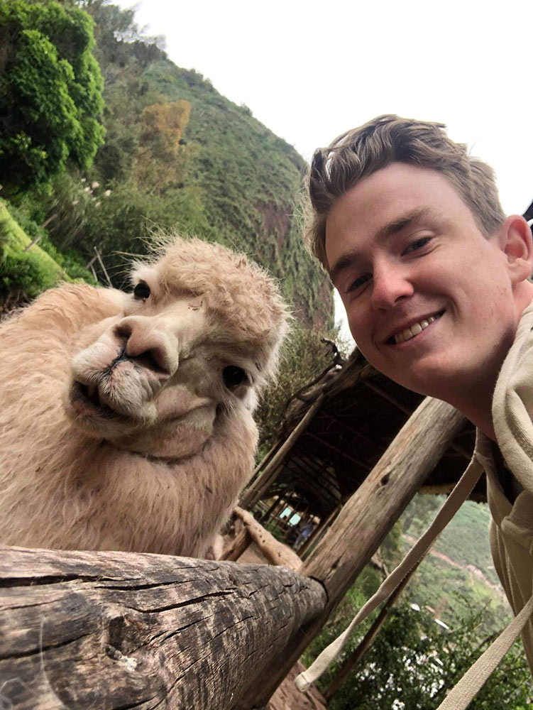 Llama Selfies by Jane Keenan